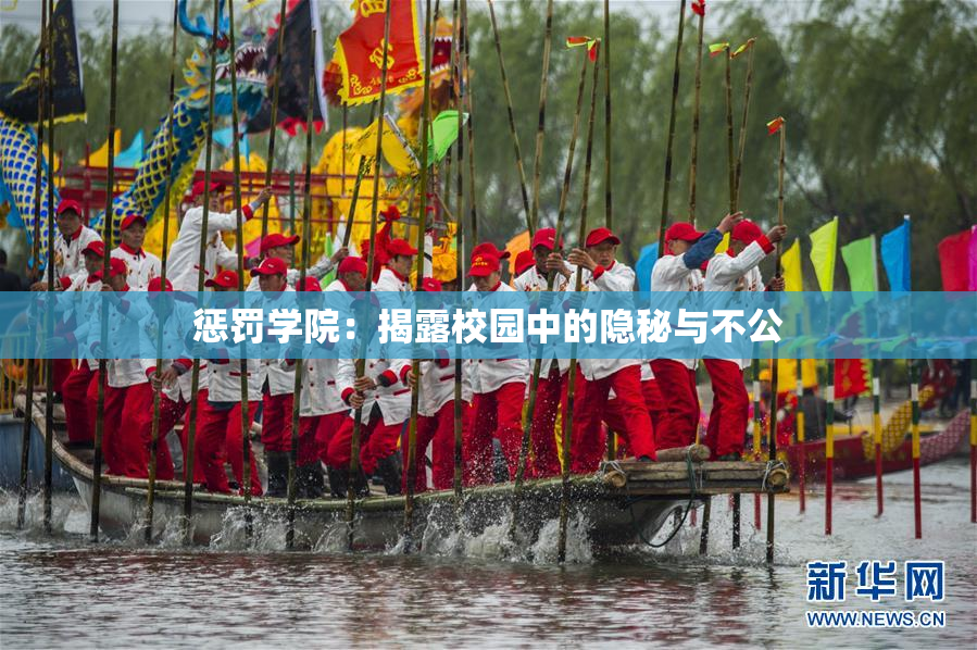 惩罚学院：揭露校园中的隐秘与不公