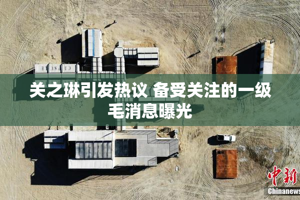 关之琳引发热议 备受关注的一级毛消息曝光