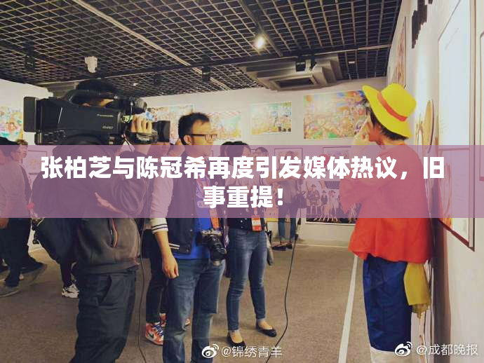 张柏芝与陈冠希再度引发媒体热议，旧事重提！
