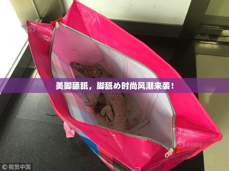 美脚舔舐，脚舐め时尚风潮来袭！