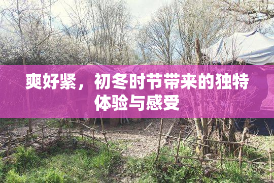 爽好紧，初冬时节带来的独特体验与感受