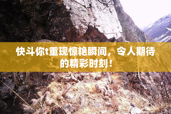 快斗你t重现惊艳瞬间，令人期待的精彩时刻！