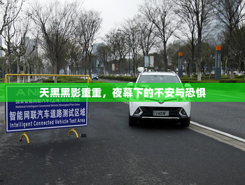 天黑黑影重重，夜幕下的不安与恐惧
