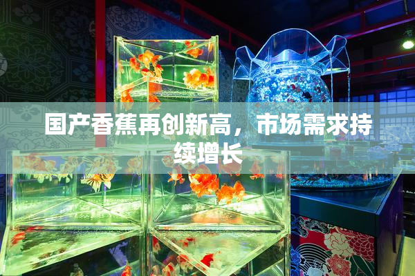 国产香蕉再创新高，市场需求持续增长