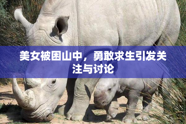 美女被困山中，勇敢求生引发关注与讨论