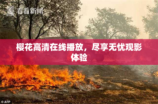 樱花高清在线播放，尽享无忧观影体验