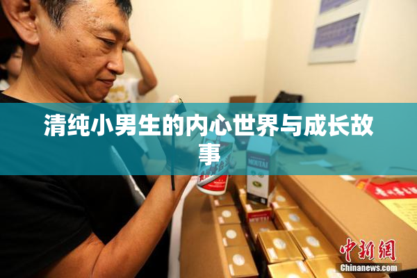 清纯小男生的内心世界与成长故事