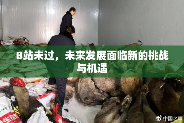 B站未过，未来发展面临新的挑战与机遇