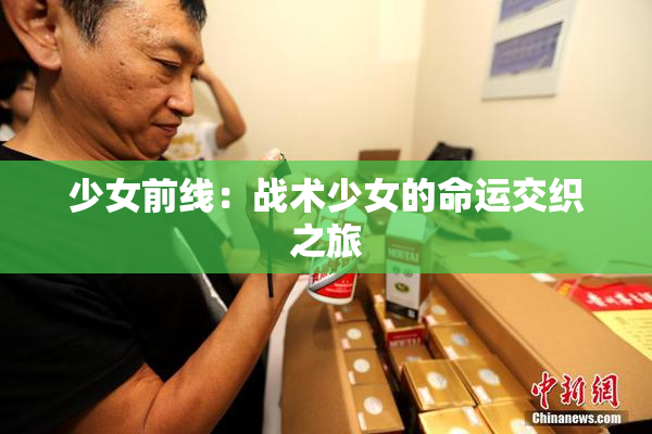 少女前线：战术少女的命运交织之旅