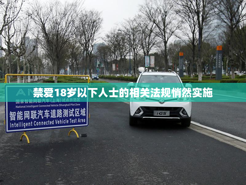 禁爱18岁以下人士的相关法规悄然实施