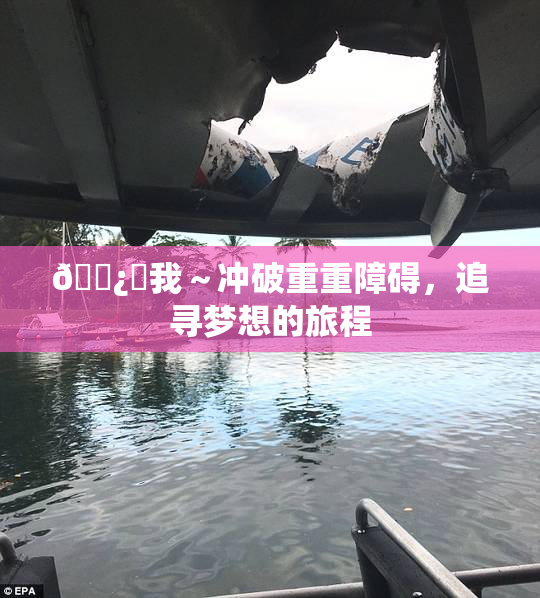 🌿‌我～冲破重重障碍，追寻梦想的旅程