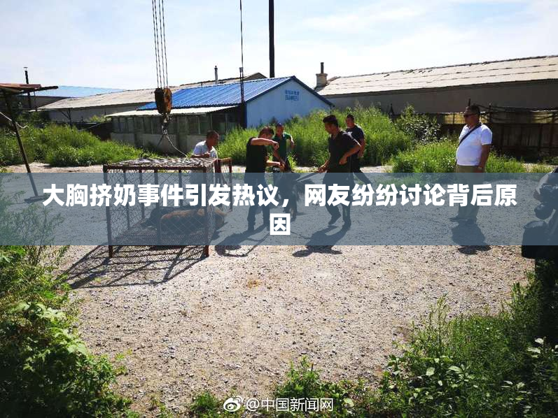 大胸挤奶事件引发热议，网友纷纷讨论背后原因