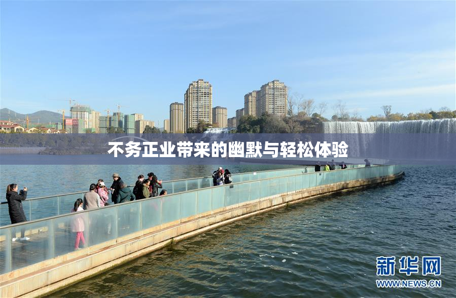 不务正业带来的幽默与轻松体验