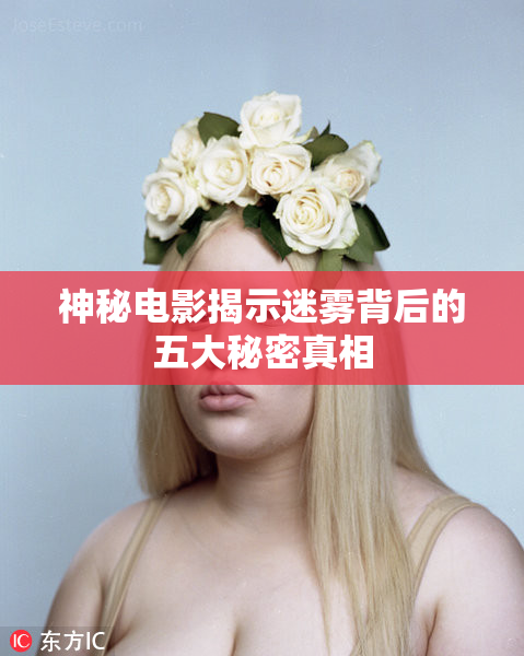 神秘电影揭示迷雾背后的五大秘密真相
