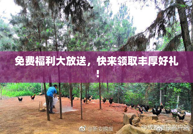免费福利大放送，快来领取丰厚好礼！