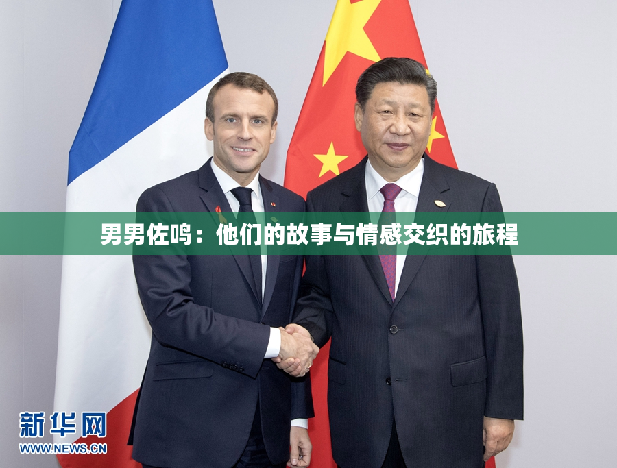 男男佐鸣：他们的故事与情感交织的旅程