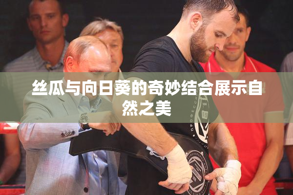 丝瓜与向日葵的奇妙结合展示自然之美