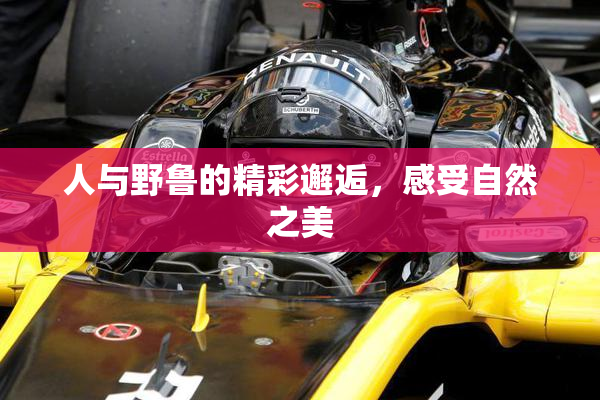 人与野鲁的精彩邂逅，感受自然之美