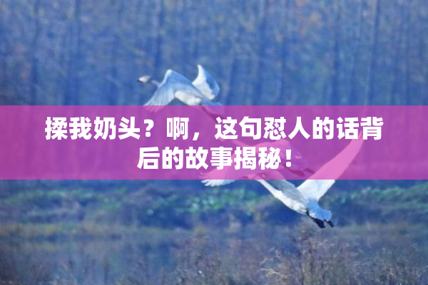 揉我奶头？啊，这句怼人的话背后的故事揭秘！