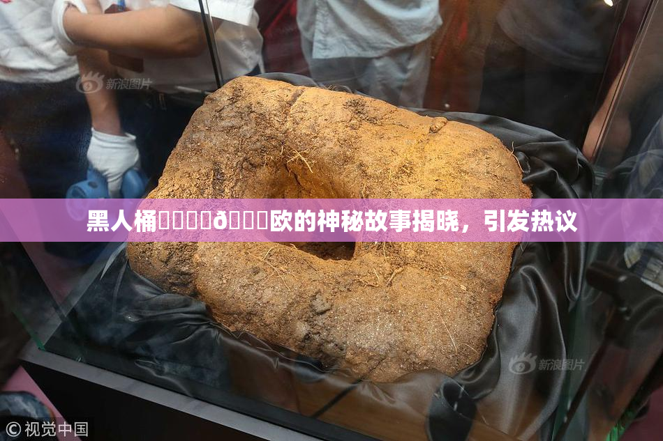 黑人桶❌‌❌‌🍑欧的神秘故事揭晓，引发热议
