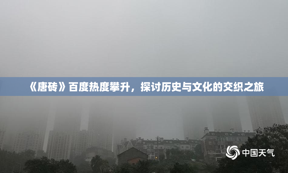 《唐砖》百度热度攀升，探讨历史与文化的交织之旅