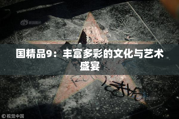 国精品9：丰富多彩的文化与艺术盛宴