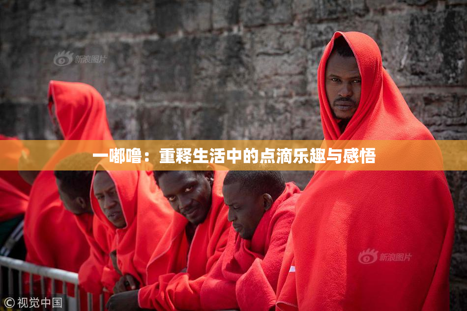 一嘟噜：重释生活中的点滴乐趣与感悟