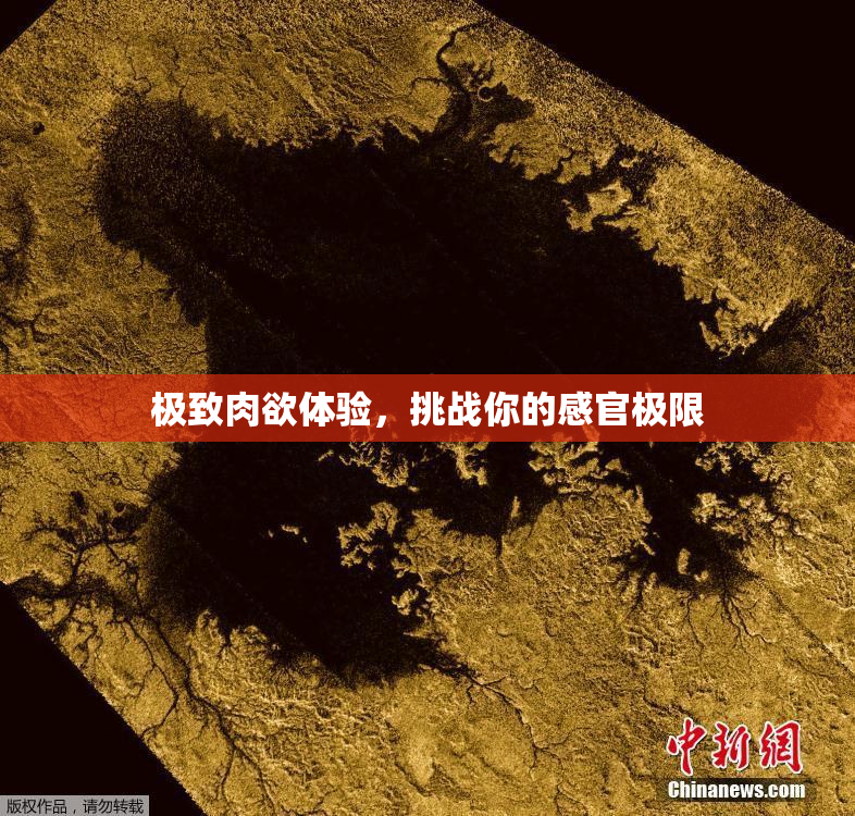 极致肉欲体验，挑战你的感官极限