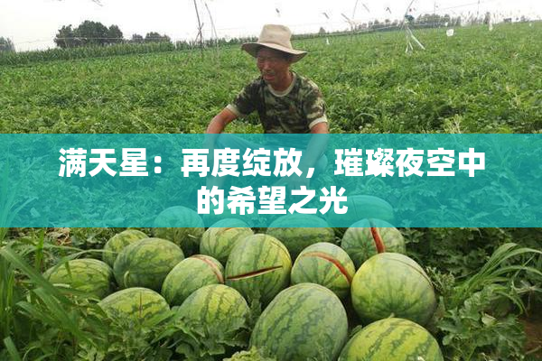 满天星：再度绽放，璀璨夜空中的希望之光