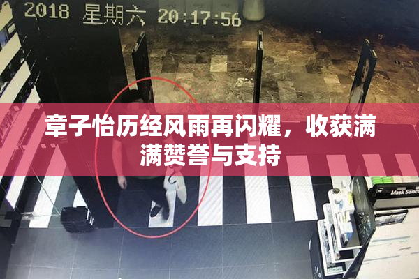章子怡历经风雨再闪耀，收获满满赞誉与支持