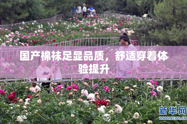 国产棉袜足显品质，舒适穿着体验提升