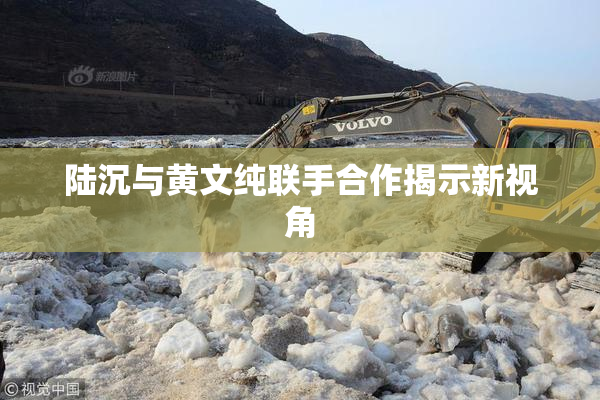 陆沉与黄文纯联手合作揭示新视角