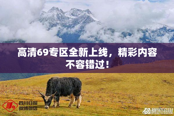 高清69专区全新上线，精彩内容不容错过！
