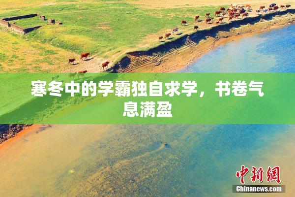 寒冬中的学霸独自求学，书卷气息满盈