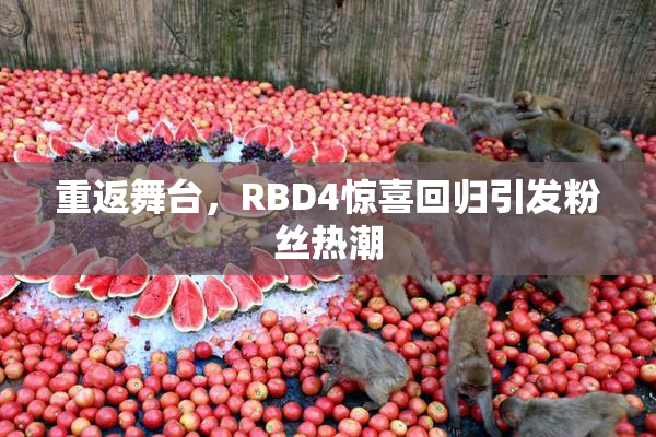 重返舞台，RBD4惊喜回归引发粉丝热潮