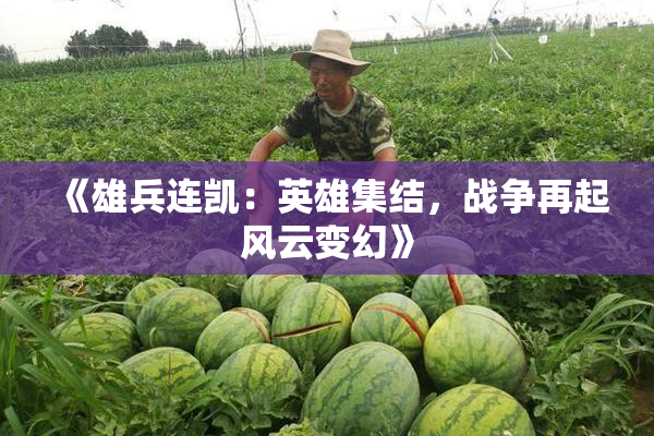 《雄兵连凯：英雄集结，战争再起风云变幻》