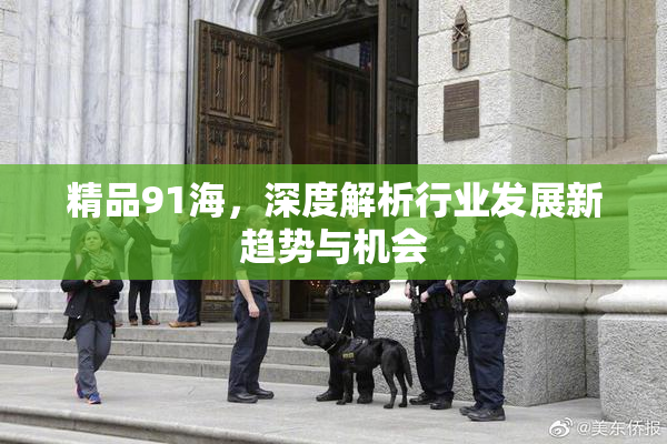 精品91海，深度解析行业发展新趋势与机会