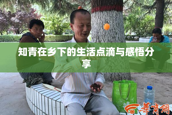 知青在乡下的生活点滴与感悟分享