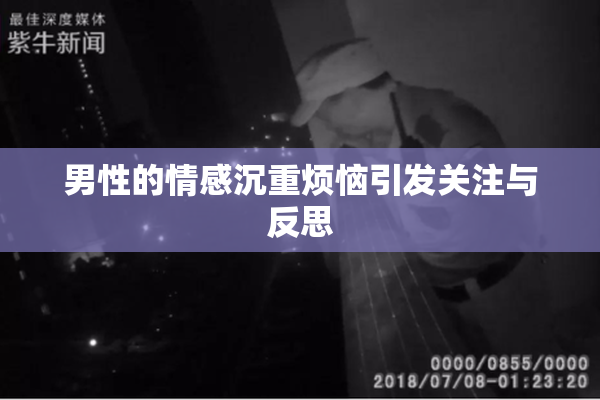 男性的情感沉重烦恼引发关注与反思
