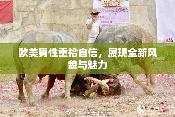 欧美男性重拾自信，展现全新风貌与魅力