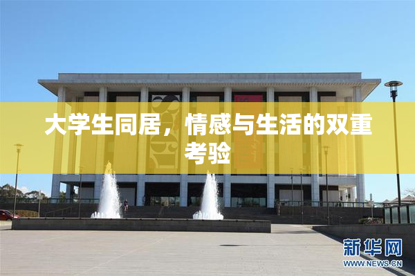大学生同居，情感与生活的双重考验