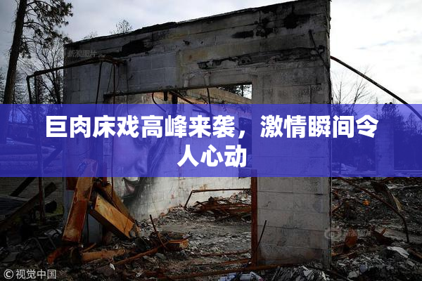 巨肉床戏高峰来袭，激情瞬间令人心动