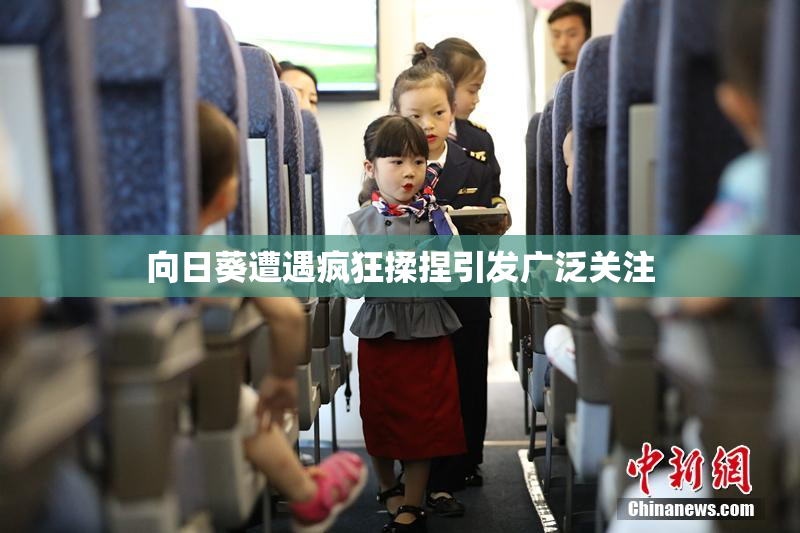 向日葵遭遇疯狂揉捏引发广泛关注