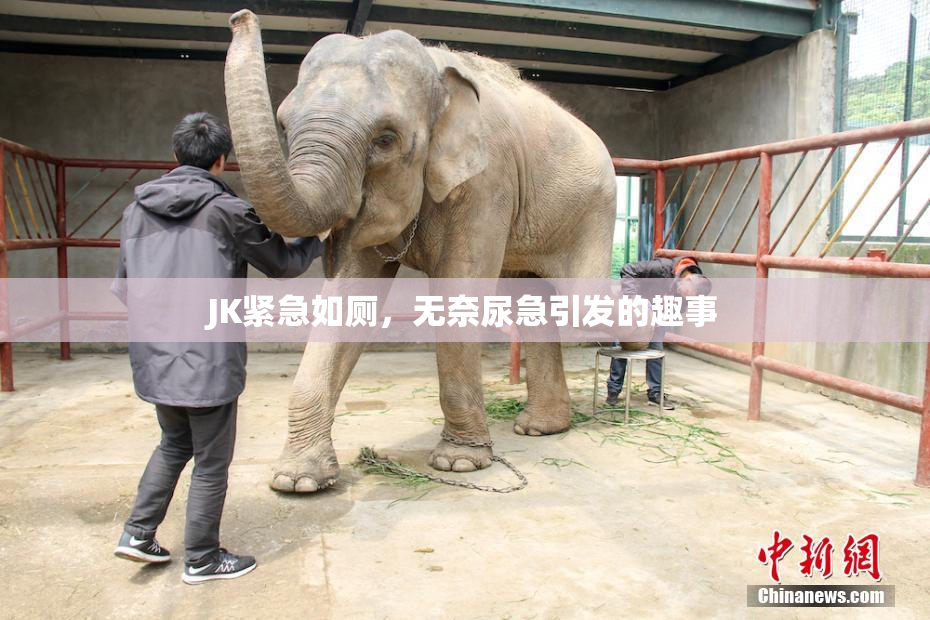 JK紧急如厕，无奈尿急引发的趣事