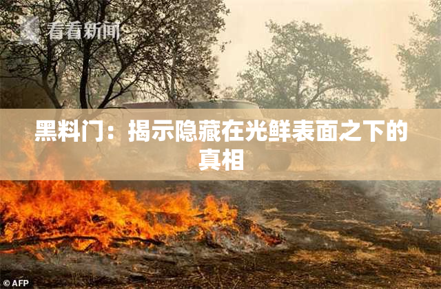黑料门：揭示隐藏在光鲜表面之下的真相