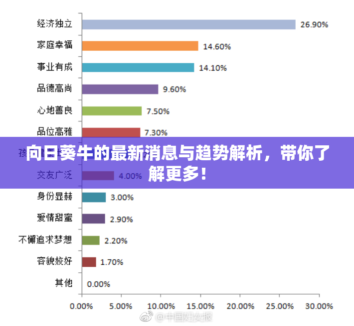 向日葵牛的最新消息与趋势解析，带你了解更多！