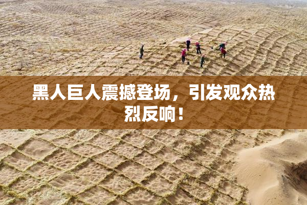 黑人巨人震撼登场，引发观众热烈反响！