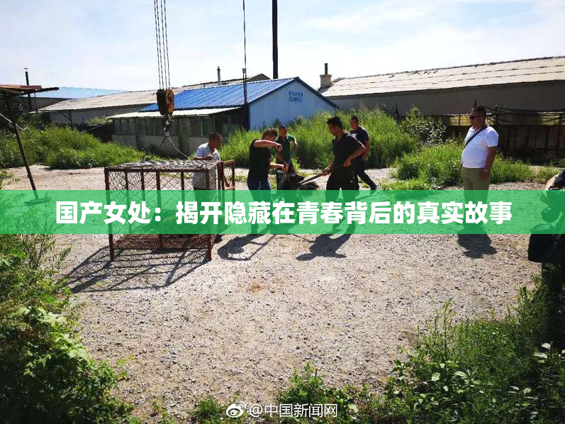 国产女处：揭开隐藏在青春背后的真实故事