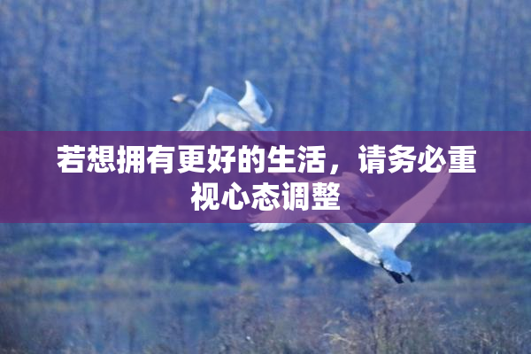 若想拥有更好的生活，请务必重视心态调整