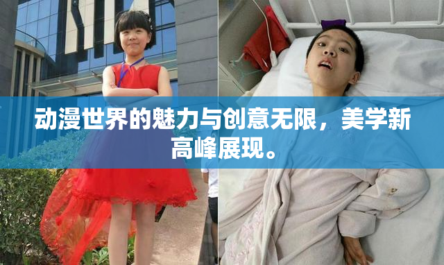 动漫世界的魅力与创意无限，美学新高峰展现。